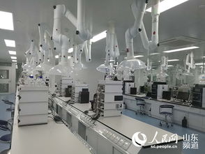 山東羅欣制藥 以創新為翼，打破國外壟斷，引領醫藥研發與國際水平同步前行